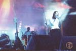 aterciopelados2